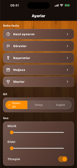 Ayarlar